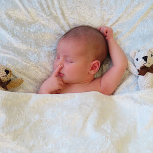 תמונת משתמש