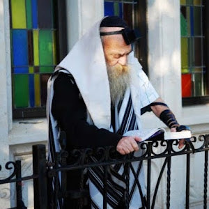 תמונת משתמש