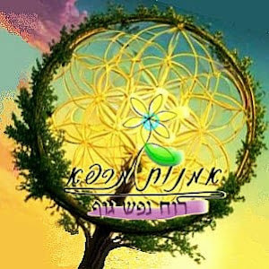 תמונת משתמש