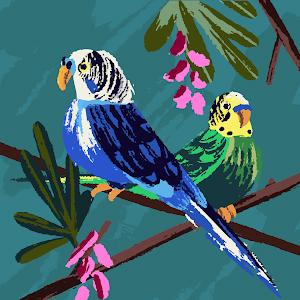 sigaldror10 photo sigaldror10 photo