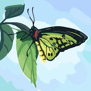 תמונת משתמש