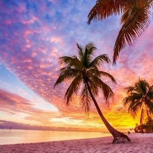 תמונת משתמש