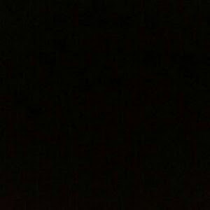 תמונת משתמש