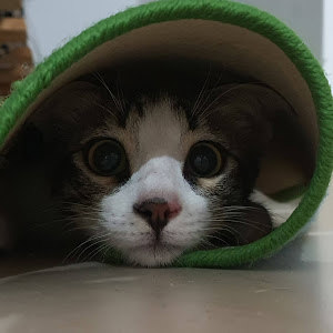 תמונת משתמש