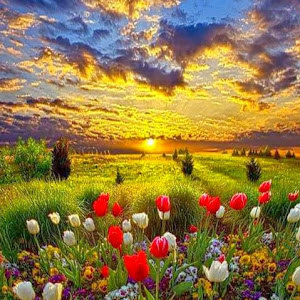 תמונת משתמש