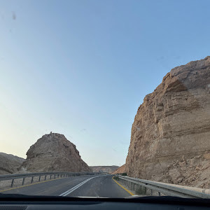 תמונת משתמש