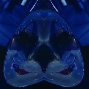 תמונת משתמש