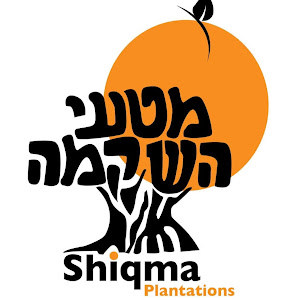 תמונת משתמש