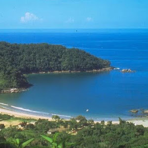 תמונת משתמש