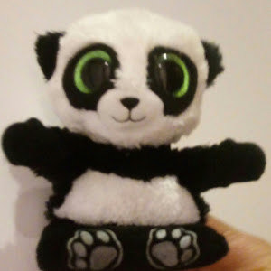 תמונת משתמש