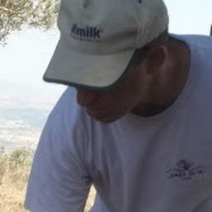 תמונת משתמש