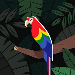 תמונת משתמש