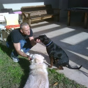 תמונת משתמש