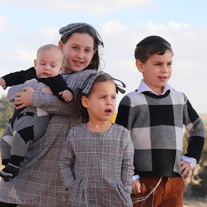 תמונת משתמש