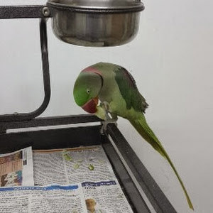 תמונת משתמש