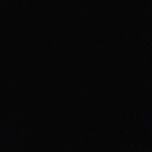 michalsadi2008 - תמונה