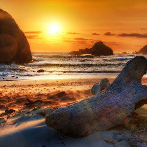 תמונת משתמש