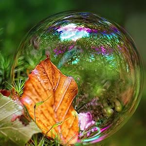 תמונת משתמש