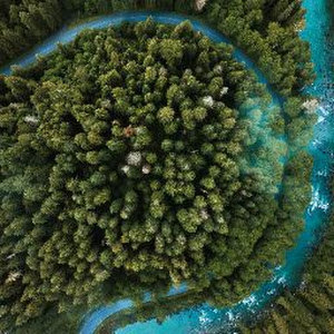 תמונת משתמש