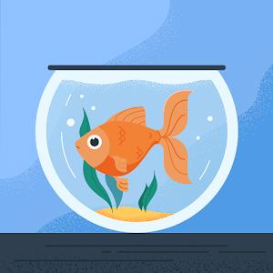 תמונת משתמש