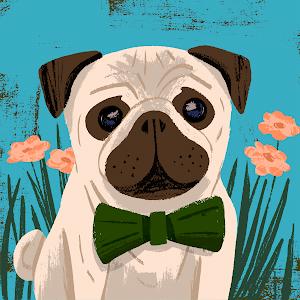 adi.mey1 - תמונה