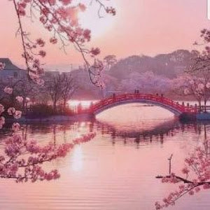 marinabitton43 photo