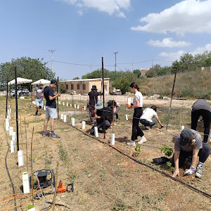 תמונת משתמש