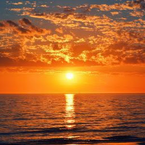 תמונת משתמש