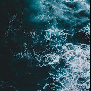 תמונת משתמש