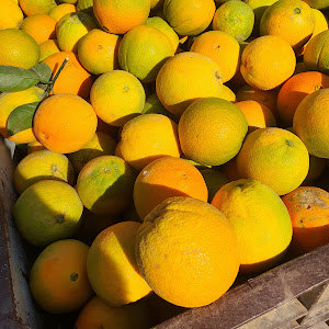 תמונת משתמש