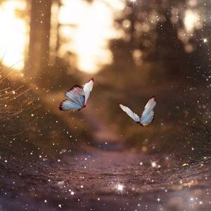 porat76566 - תמונה