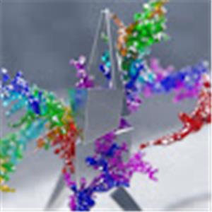 תמונת משתמש