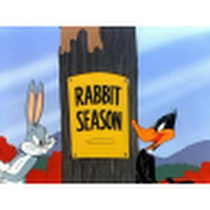 תמונת משתמש