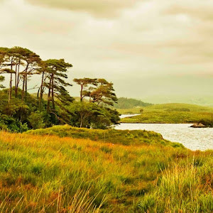 תמונת משתמש