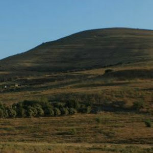 תמונת משתמש