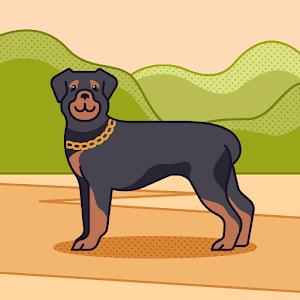 תמונת משתמש