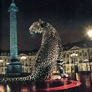 תמונת משתמש