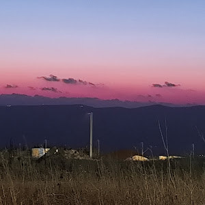 תמונת משתמש
