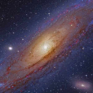 תמונת משתמש