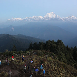 תמונת משתמש