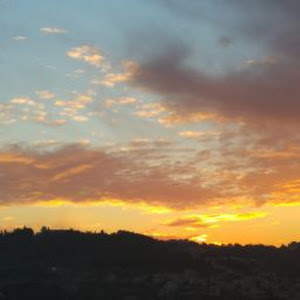 תמונת משתמש