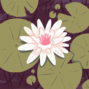 תמונת משתמש