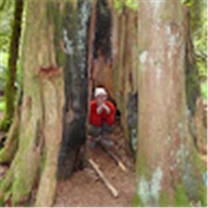 Edie Molot - תמונה