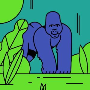 תמונת משתמש