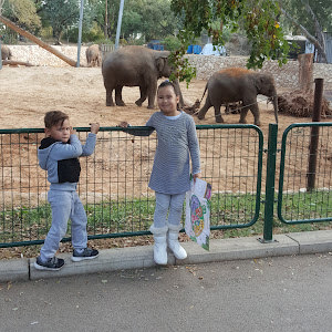 תמונת משתמש