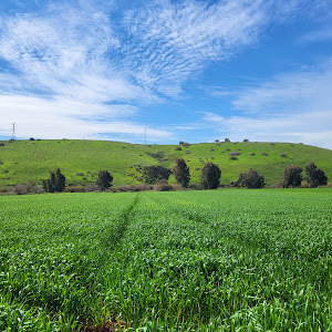 תמונת משתמש