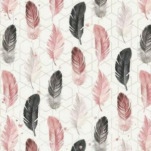 תמונת משתמש