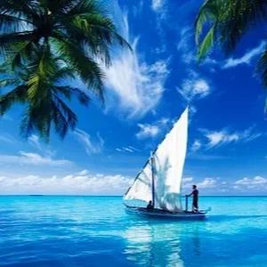 תמונת משתמש