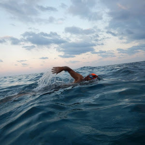 תמונת משתמש