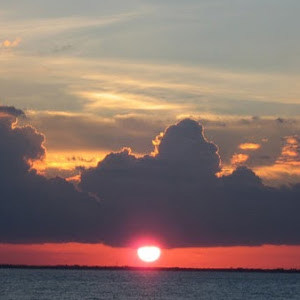 תמונת משתמש